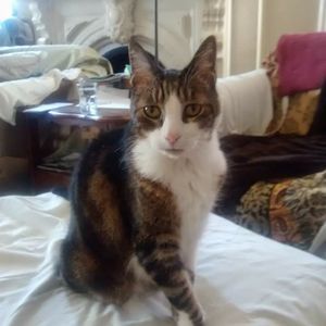 Meet your Posher, Laura